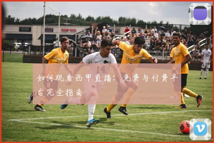 如何观看西甲直播:免费与付费平台完全指南