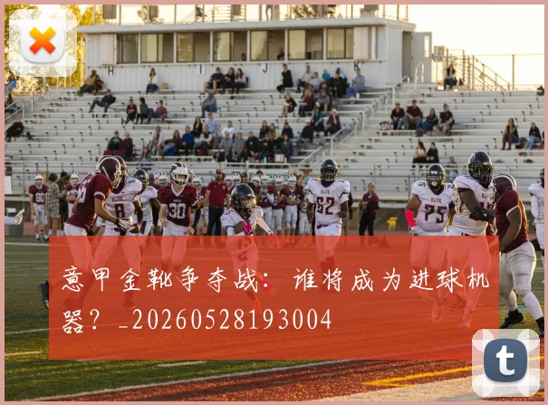 意甲金靴争夺战：谁将成为进球机器？_20260528193004