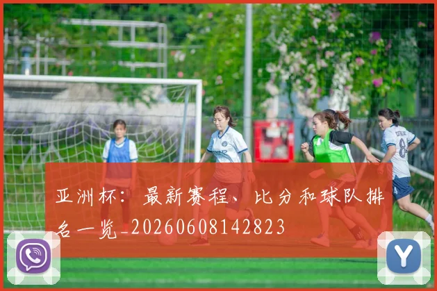 亚洲杯:最新赛程、比分和球队排名一览_20260608142823